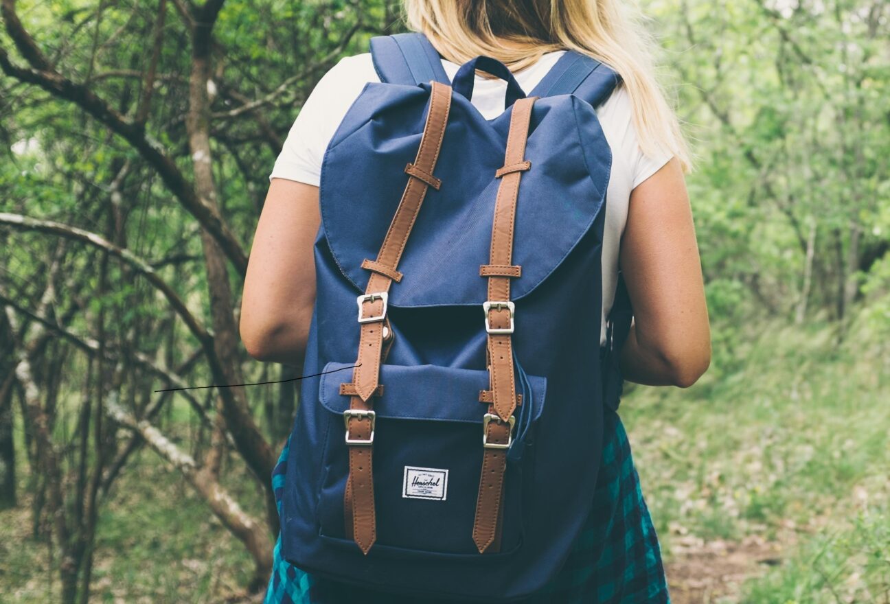 travel bag for philips respironics simplygo mini portable