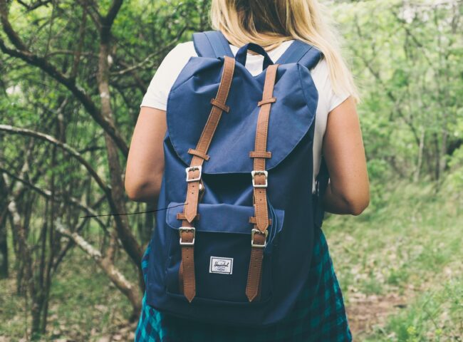 travel bag for philips respironics simplygo mini portable