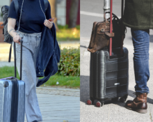 Travelers Choice Good Luggage